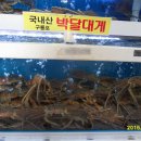 포항이야기 이미지