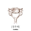 365강추한의원 이미지