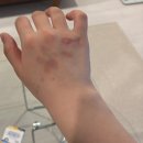 새솔외과의원 이미지