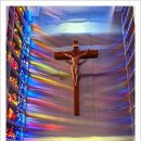 솔뫼성지 소나무 이미지