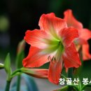 성경지식적 입장에서 본 창세기 개요 이미지