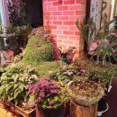 송산주막한우생고기전문점 이미지