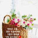 따뜻한선물 이미지