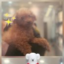 보비동물병원 이미지