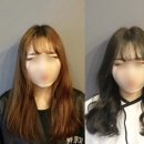 어반제이 네이버블로그
