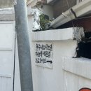이태원현주네 오픈런 최신 솔직후기 주소, 신점 자리 꿀팁