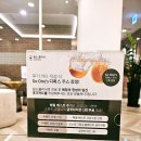 원스의원 목동점 애완돌 인테리어 감기 환절기 이벤트