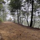 원주굽이길 20코스 다둔길 이미지