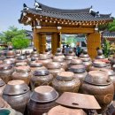 [울산출발] 10월 10일(토) ~ 11일(일) 임실치즈축제 순창 1박2일 맛기행 이미지