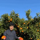 야베스 1농장 이미지