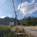 돌산동산정원 네이버블로그