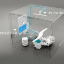 쿠쿠대구 이미지