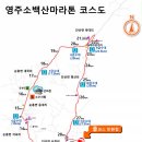 영주주유소 이미지