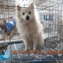 보라매공판장