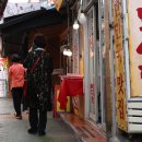 신호농장 이미지