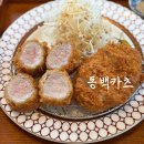 대청로25번길 | 제주 서귀포 동백카츠 혼밥하기 좋은 돈까스 맛집 추천