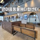 해운대동물메디컬센터 | 부산 해운대 동물병원 큰마음동물메디컬센터 강아지 건강검진 후기