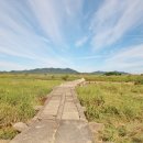 함평 고막천석교 이미지