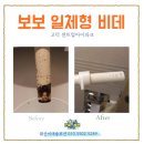 고덕아이파크 | 고덕 센트럴아이파크 비데청소 후기, 보보일체형 비데, 왜 정기청소가 중요할까요?