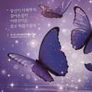 마곡심리상담 추천 ㅣ 더나은 심리상담 코칭센터에서 나를 이해한 날