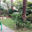 금정공인중개사사무소 이미지