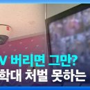 오직태권도장 이미지