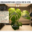 광합성 유효방사량(PAR) vs 광합성 유효광량자속밀도(PPFD) 이미지