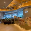 일신여성의원 이미지