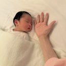 봄빛약국 | 봄빛조리원 2관 후기｜특실, 식사, 신생아 케어 솔직 리뷰
