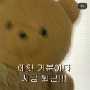 호명면 새움3로 20 베스킨라빈스 앞 | [일상블로그] 240507-09 와글와글일기 (범죄도시4 3번 본 사람 나야 나)
