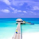 푸른바다 이미지