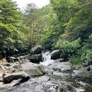 산청토박이 이미지