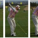 스윙의 기초 이미지