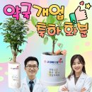 북가좌수약국 이미지