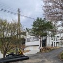 홍제원농장 이미지