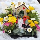 그림책 원예 활동 | 유치원 초등학생 그림책과 함께하는 감성 원예활동 "우리 집 정원꾸미기"