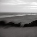 희미한옛사랑의그림자 이미지