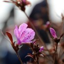 선학산전망대 이미지