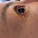 애버그린 | 용문동속눈썹 펌 잘하는 애버그린뷰티 후기