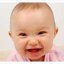 머큐리덴탈 이미지