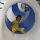 천전동4 Daum카페