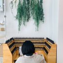파팡포레 - 강남구 도곡로 225 | 파팡포레