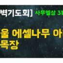 에셀나무아래