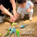 배갑농장 | 파주 아기랑 가볼만한곳 두 돌 아이랑 농장체험 "나눔농장"