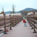 파리바게뜨대전 이미지