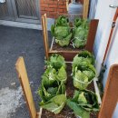 기로(여)경로당 이미지