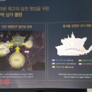 혁신뉴타운공인중개사사무소 네이버블로그
