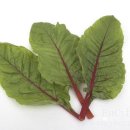 한국생약국 이미지