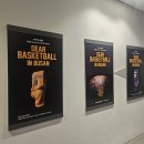KT&G 상상마당 부산미술관 | 부산 전시 추천 🏀 KT&amp;G 상상마당 부산 디어 바스켓볼 실내 데이트 코스