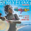 2010년 7월 셋째주 전국축제 일정 모음 이미지